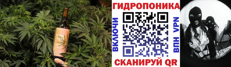 Canna-Cookies конопля  Сельцо 