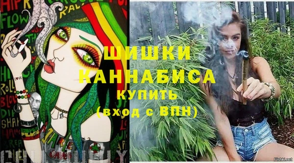 бошки Алексин