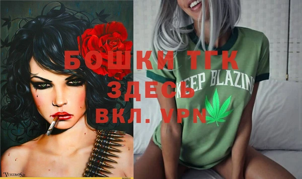 2c-b Алзамай
