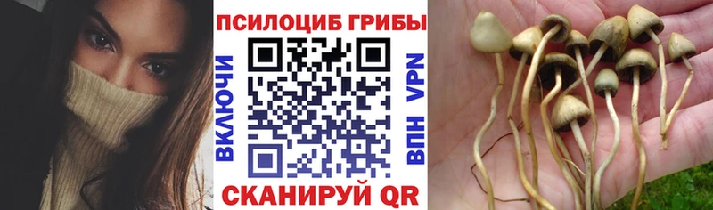 Псилоцибиновые грибы MAGIC MUSHROOMS  мега зеркало  Сельцо 